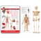Wonders of Learning Discover the Human Body Educational Tin Set
